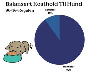 Hund og Kosthold Statistikk Diagram