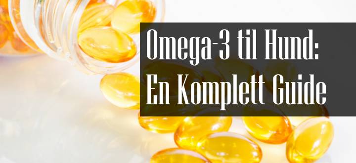 Omega 3 til Hund