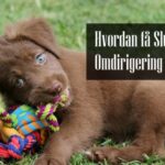 Valpebiting Omdirigering