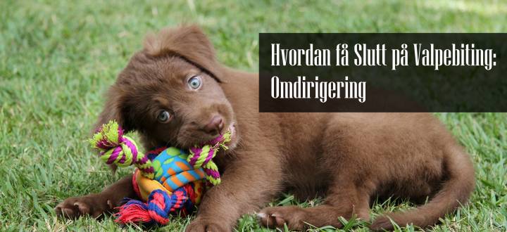 Valpebiting Omdirigering