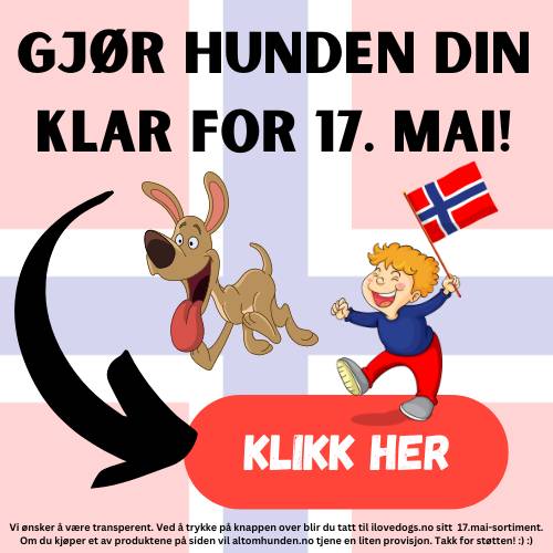 17 Mai Hund