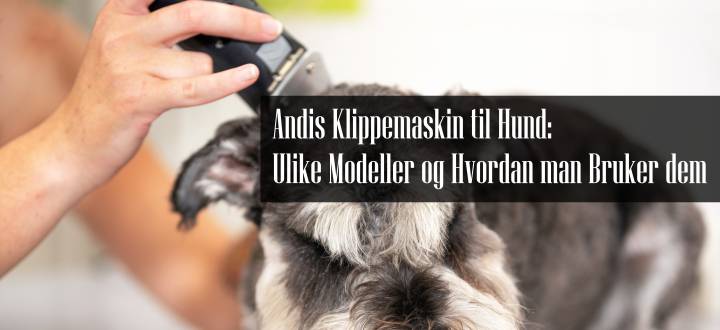 Andis Klippemaskin til Hund
