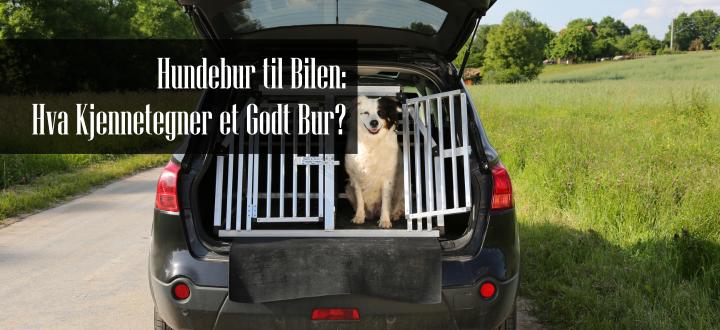 Hundebur til Bilen