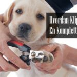 Hvordan Klippe Klør på Valp