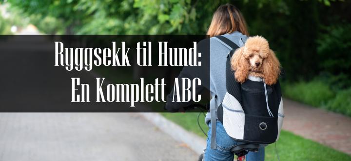 Ryggsekk til Hund