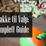 Startpakke til Valp