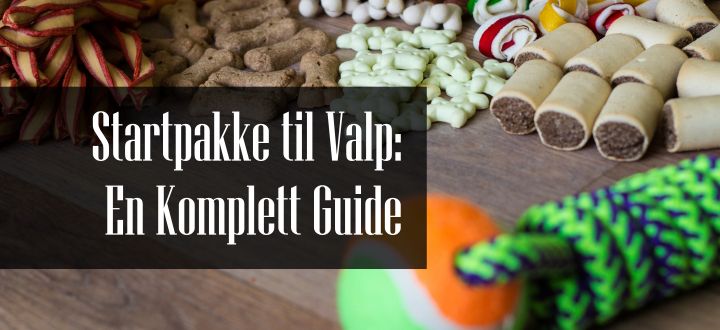 Startpakke til Valp