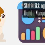 Statistikk og Fakta om Hund i Norge