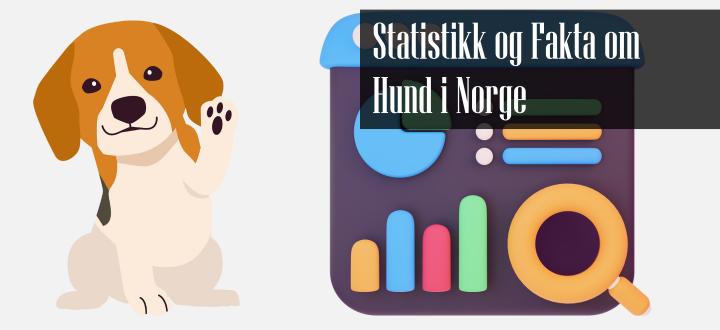 Statistikk og Fakta om Hund i Norge