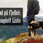 Utstyr til Hund på Fjellet
