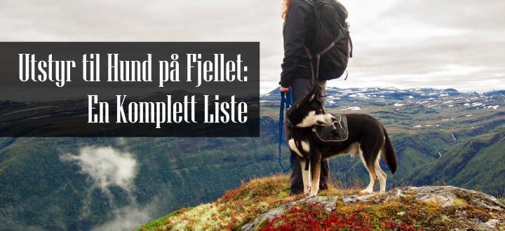 Utstyr til Hund på Fjellet