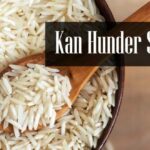 Kan Hunder Spise Ris