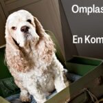 Omplassering Hund