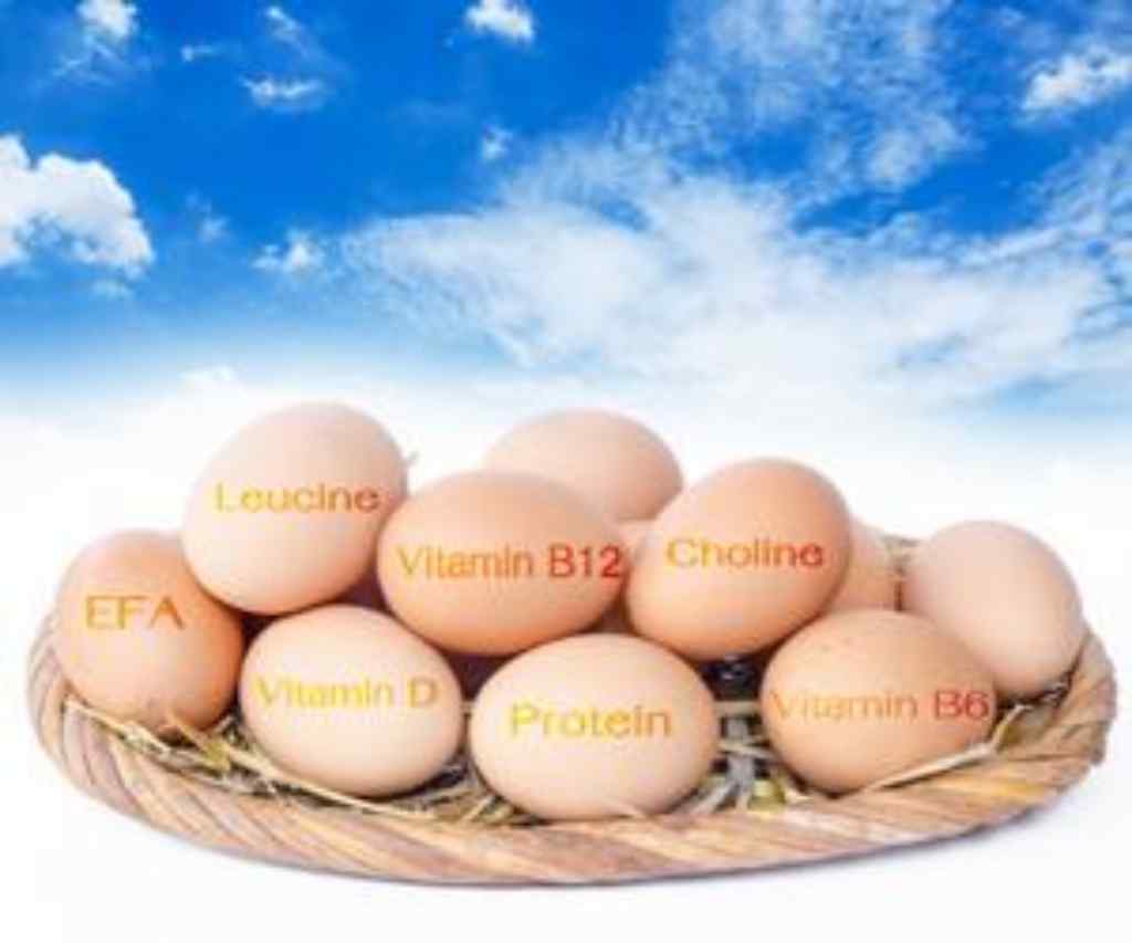 Næringstoffer i Egg
