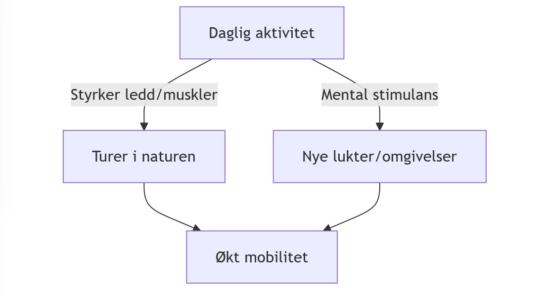 Aktiviteter for Eldre Hunder