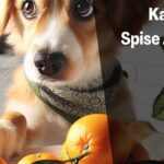 Kan Hunder Spise Appelsin