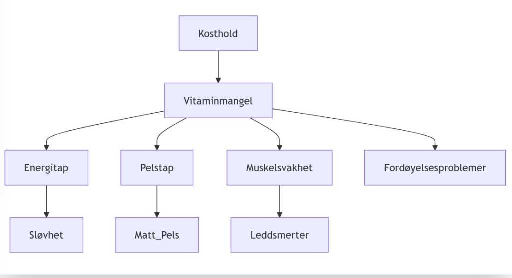 Hund Kan Ha Vitaminmangel