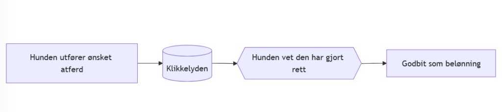 Klikkertrening diagram